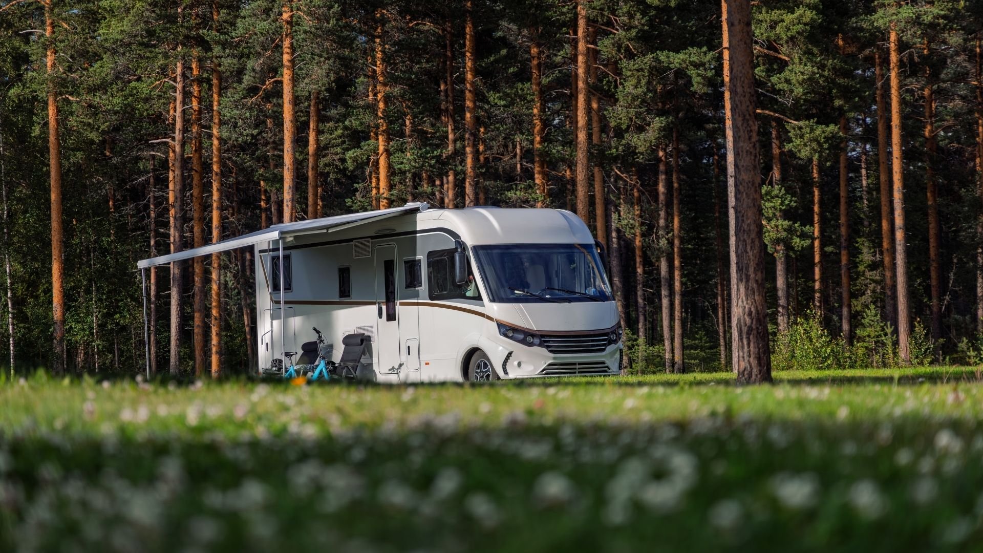 Modern white motorhome parked in forest clearing with tall pine trees background.