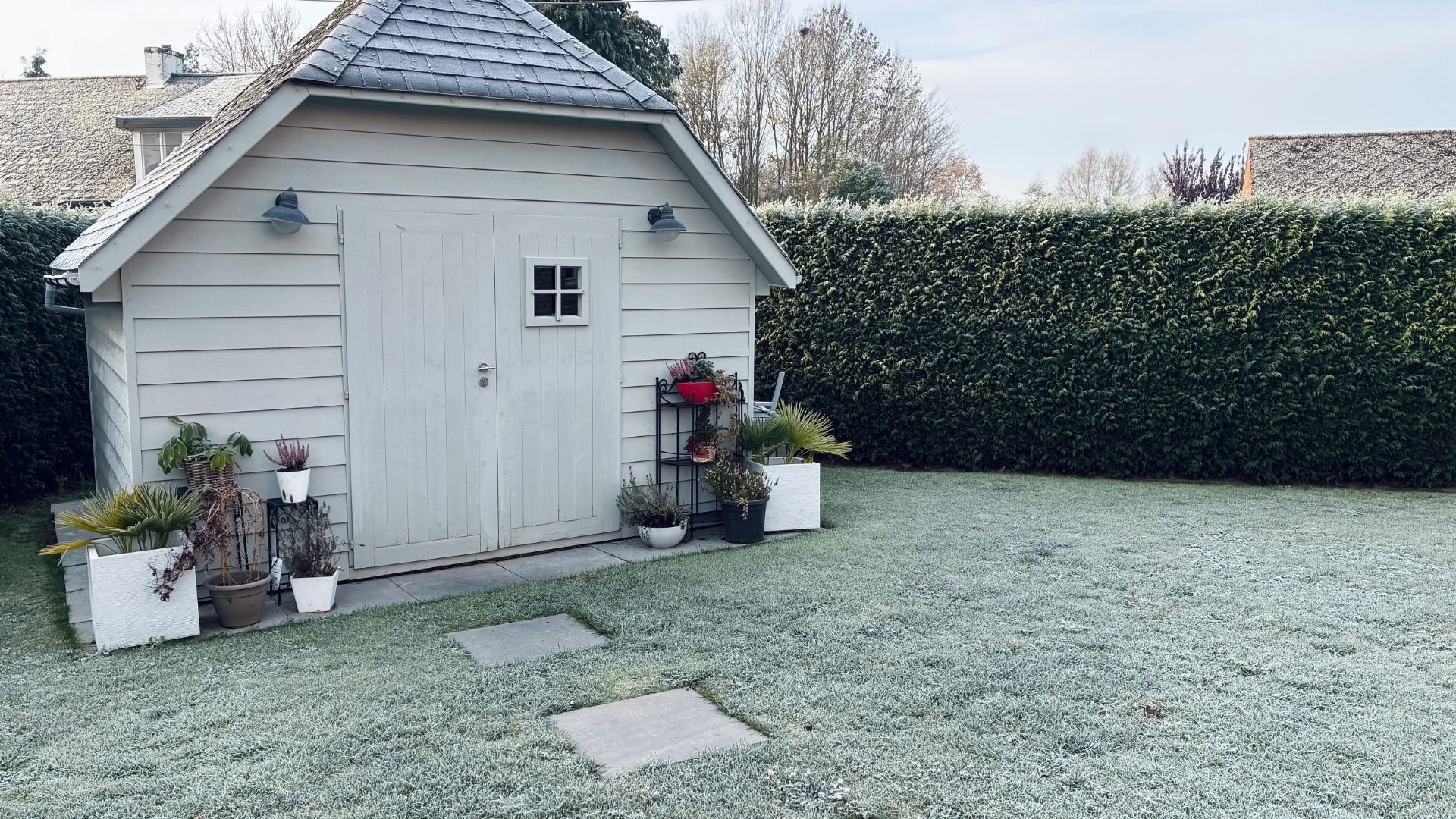 White garden shed with dark roof and potted plants, surrounded by hedges in backyard.
