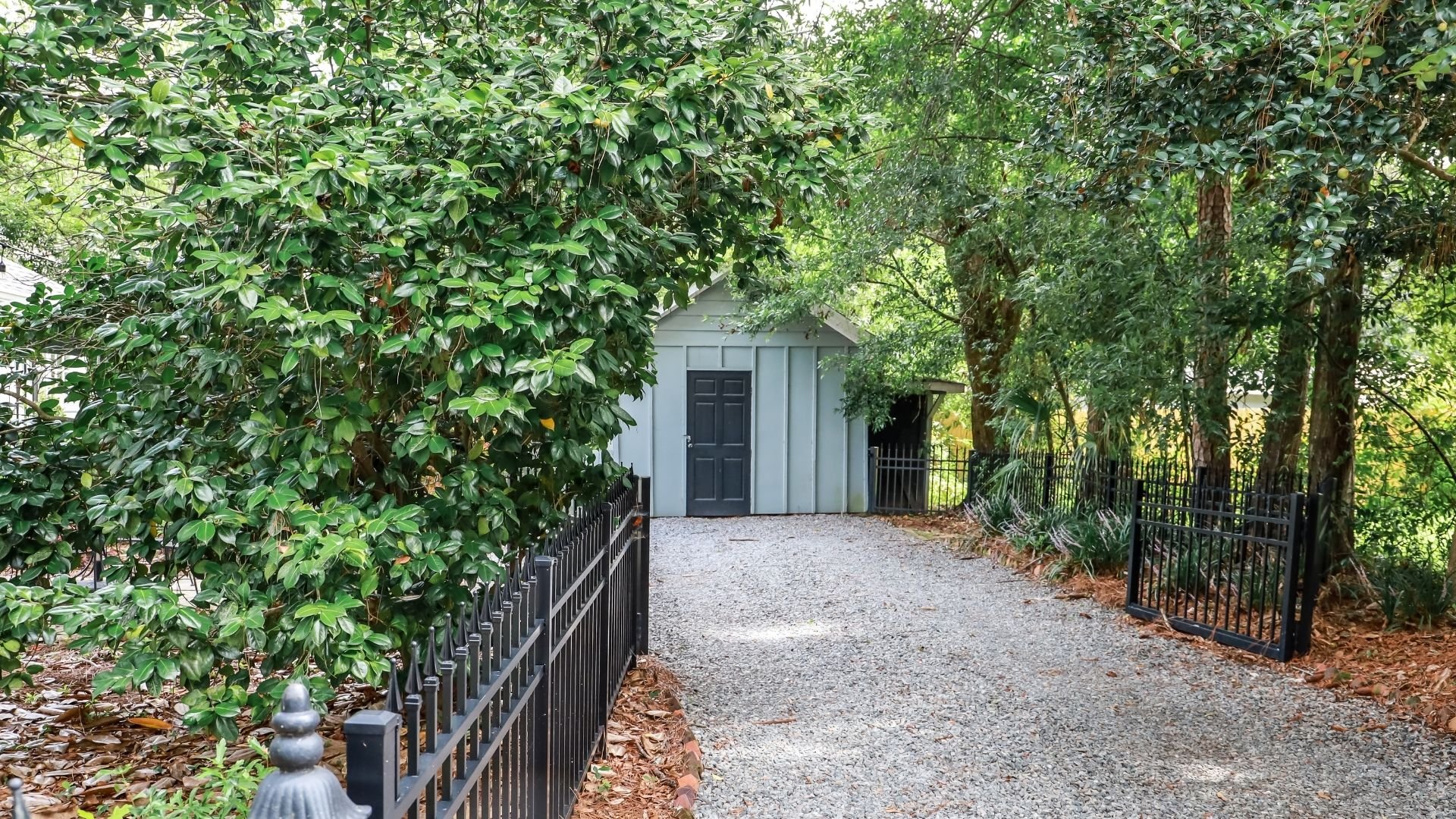 A gray cottage with black doors nestled among lush green trees and vegetation along a gravel driveway.